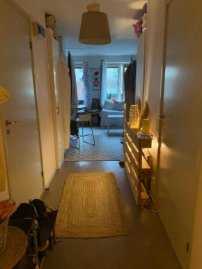 Central cozy accommodation, single room or bed in dormroom, Göteborg